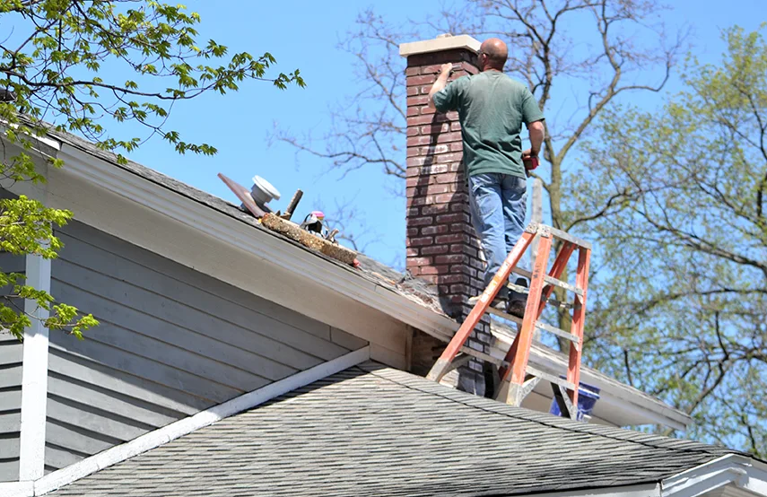 Chimney & Fireplace Inspections Services in Randallstown, MD